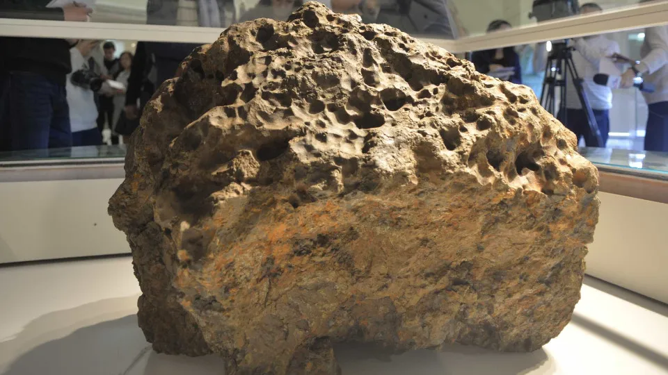 Fóssil de dinossauro é arrematado por R$ 170 milhões, e meteorito de Marte, por R$ 29 milhões