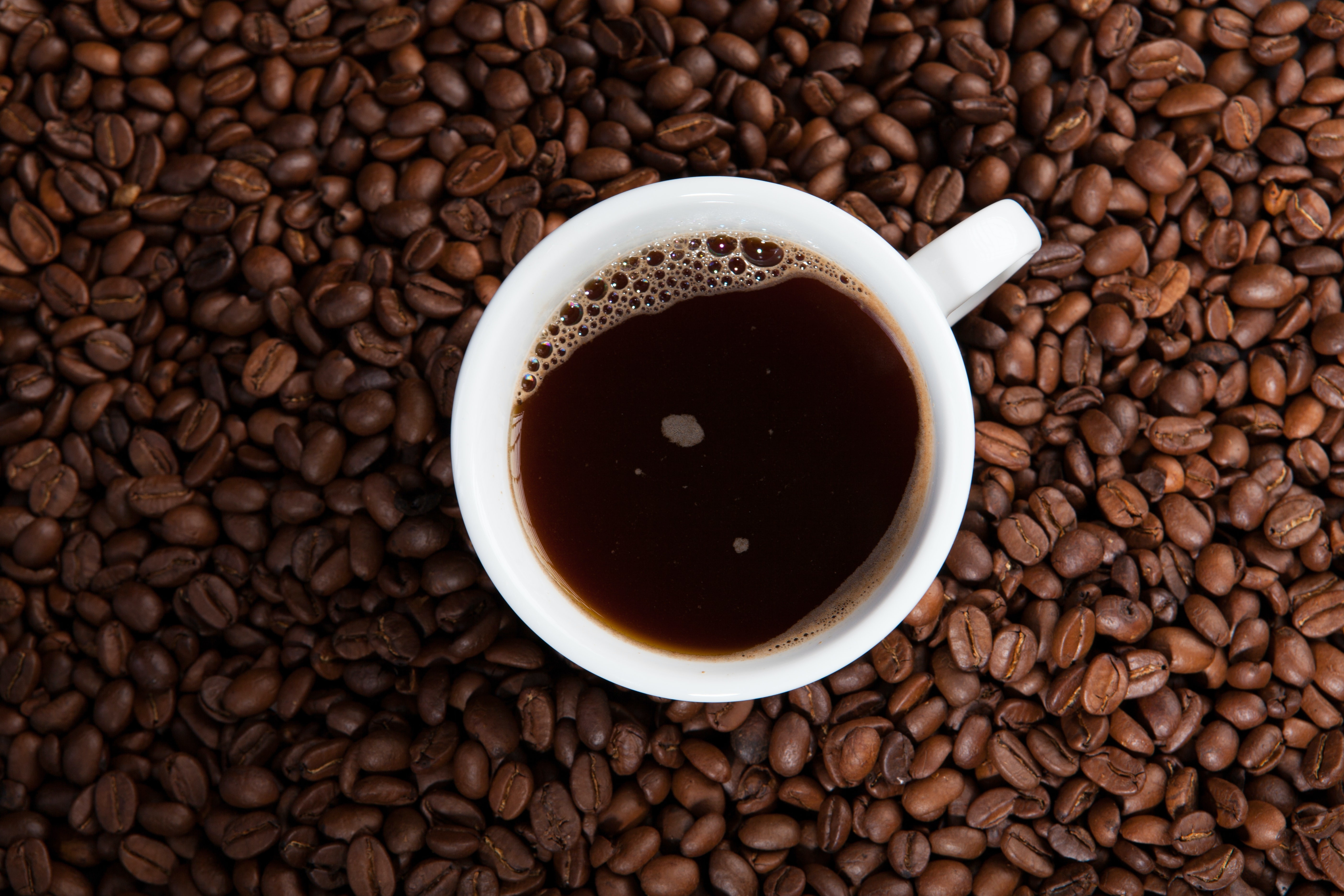 Quem são os concorrentes do café do Brasil e por que seria difícil substituir o país no fornecimento aos EUA