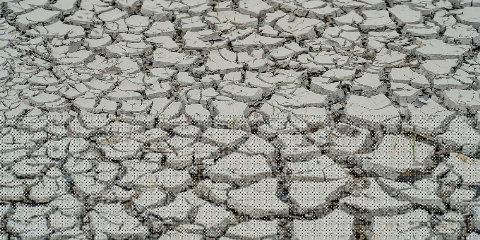 Estiagem: quinze cidades têm situação de emergência decretada