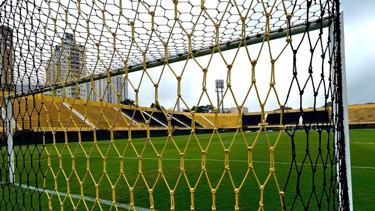 São Bernardo x Criciúma: horário e onde assistir ao jogo da Série B