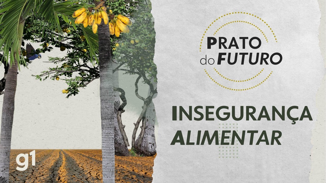 Por que a fome persiste no Brasil mesmo com tanto alimento disponível?